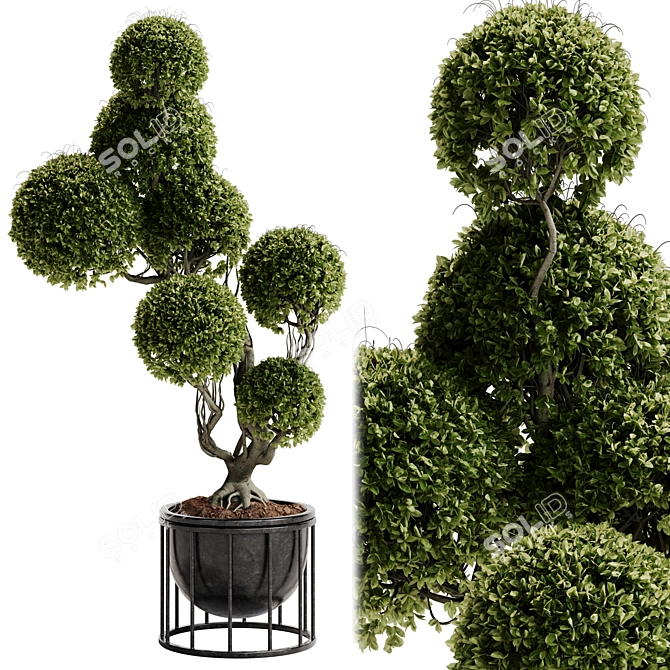 TurboSmooth Topiary Plant 30 3D model image 9