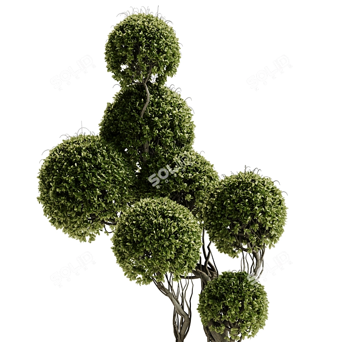 TurboSmooth Topiary Plant 30 3D model image 10