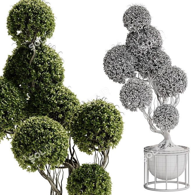 TurboSmooth Topiary Plant 30 3D model image 11