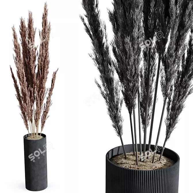 Pampas Grass Decor Bundle 3D model image 2