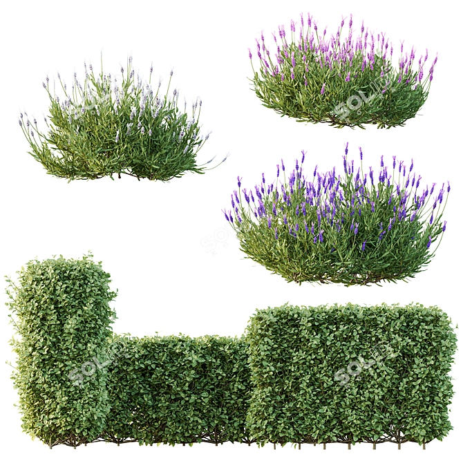 Spring Bush Hedge Set 3D model image 1