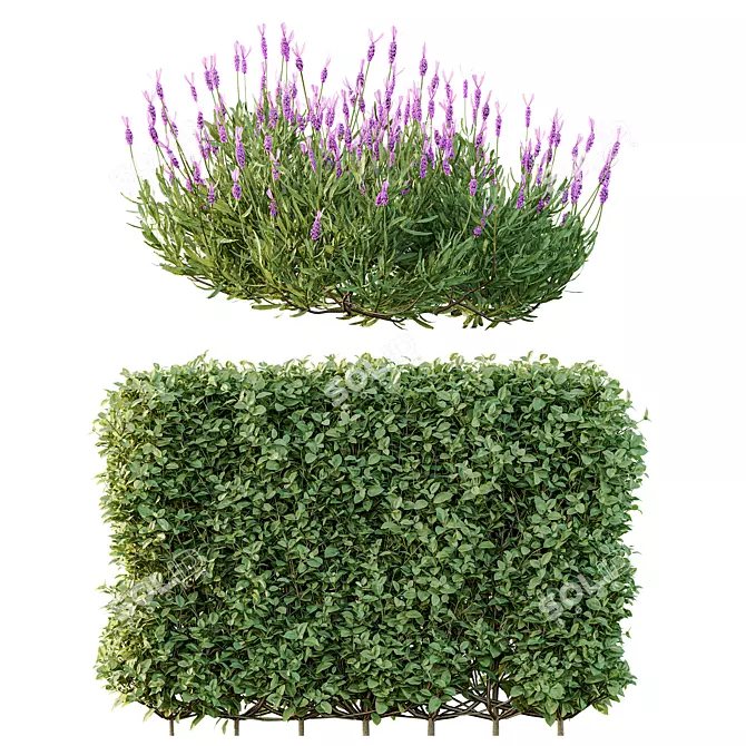 Spring Bush Hedge Set 3D model image 2