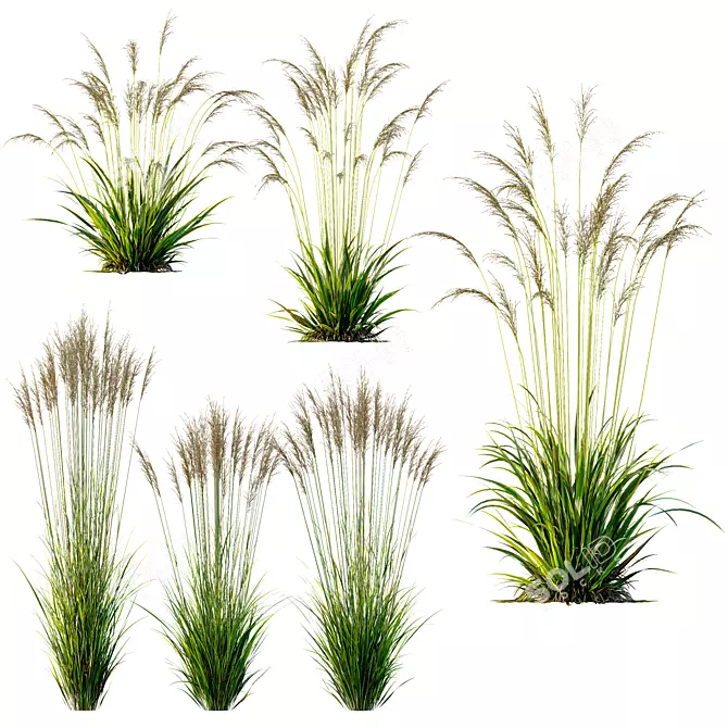 Grass 3D Models Bundle Kit 3D model image 1