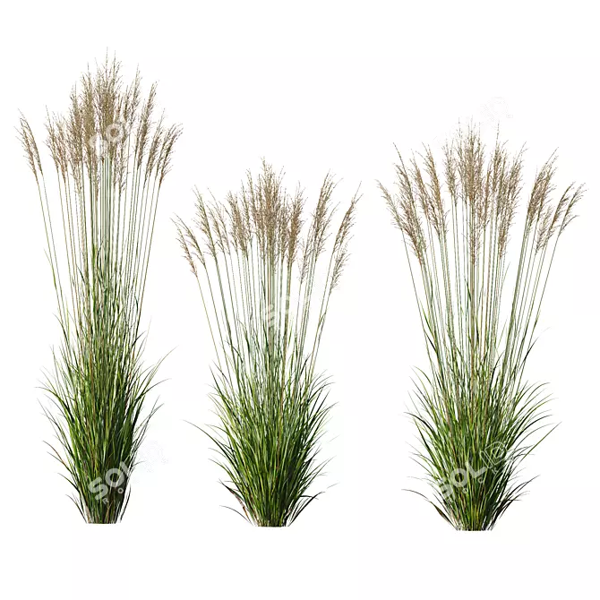 Grass 3D Models Bundle Kit 3D model image 3