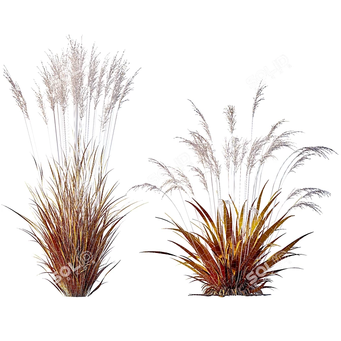 Grass 3D Models Bundle Kit 3D model image 4