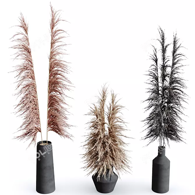 Natural Pampas Grass Decor Set 3D model image 1