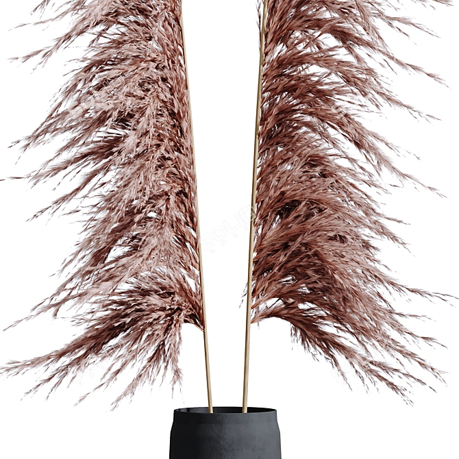 Natural Pampas Grass Decor Set 3D model image 3