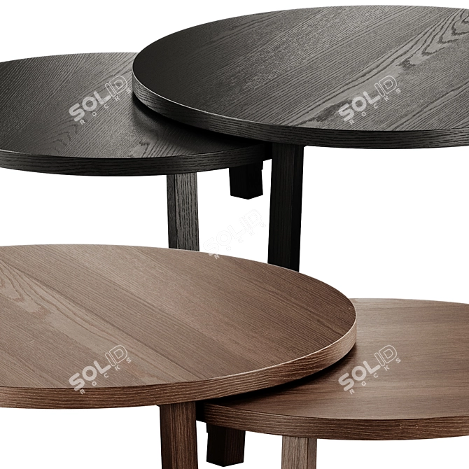 Round Wooden Leila Coffee Tables 3D model image 4