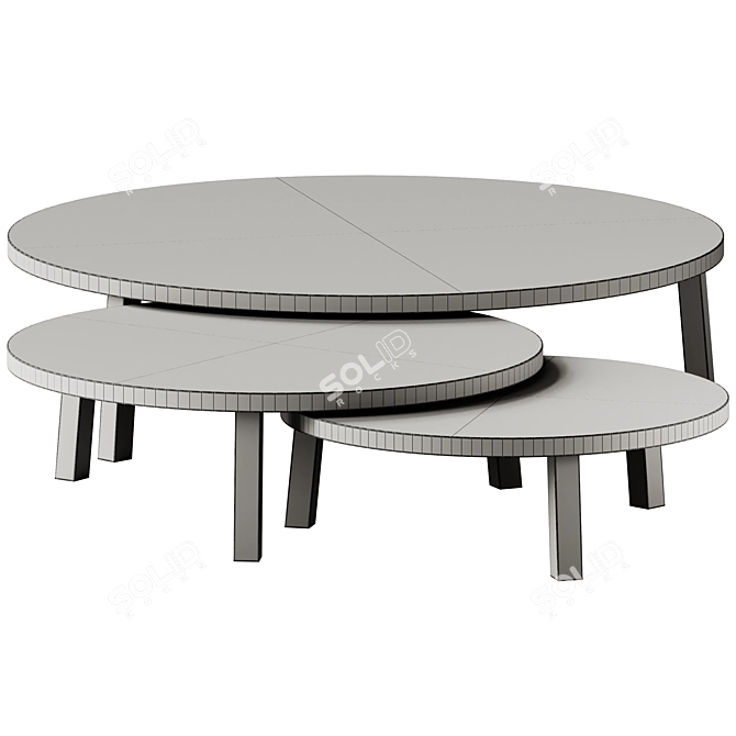 Round Wooden Leila Coffee Tables 3D model image 6