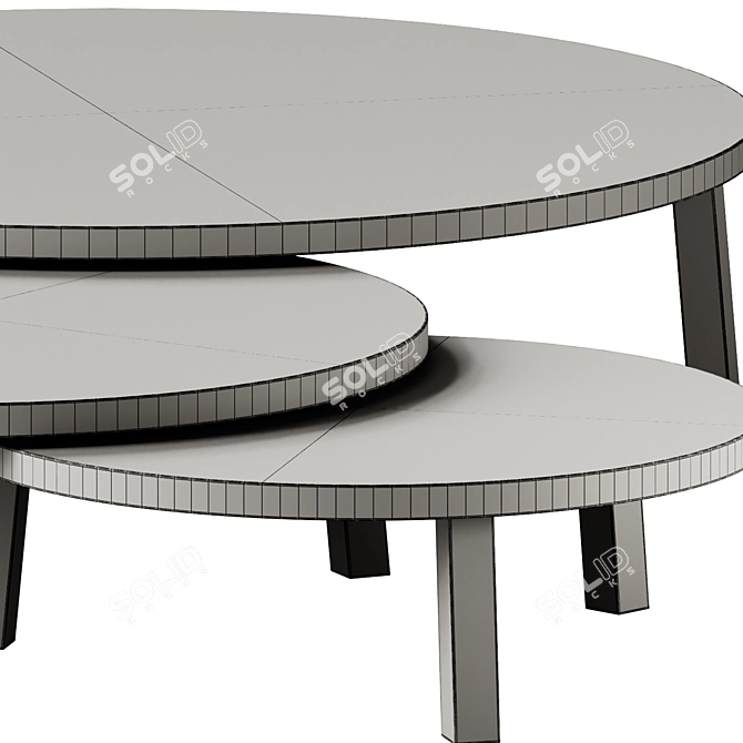 Round Wooden Leila Coffee Tables 3D model image 7