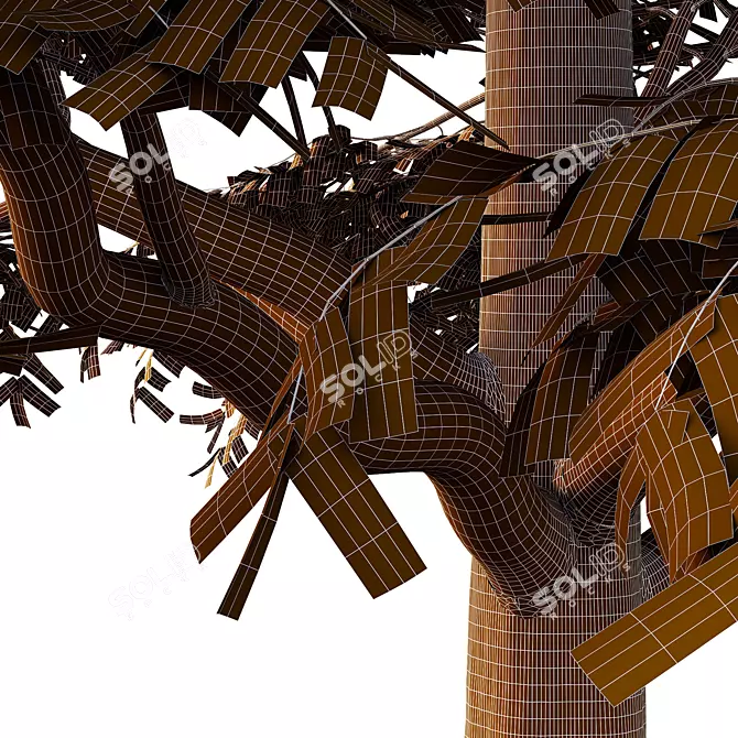 European Ash Tree 3D Model 3D model image 4