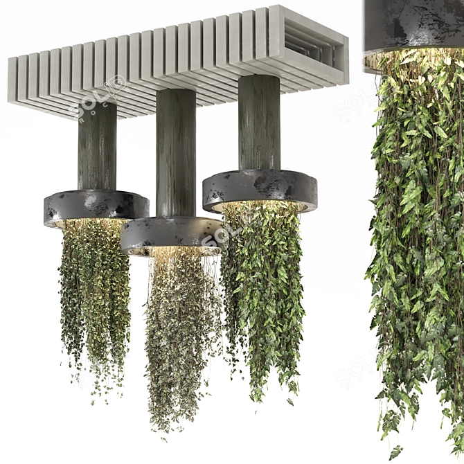  Indoor Hanging Plants Collection 3D model image 1