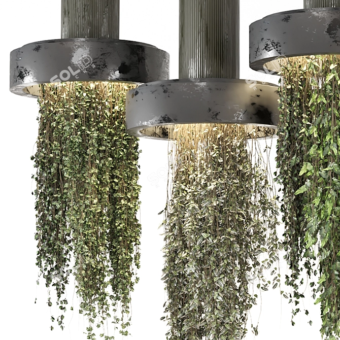  Indoor Hanging Plants Collection 3D model image 2