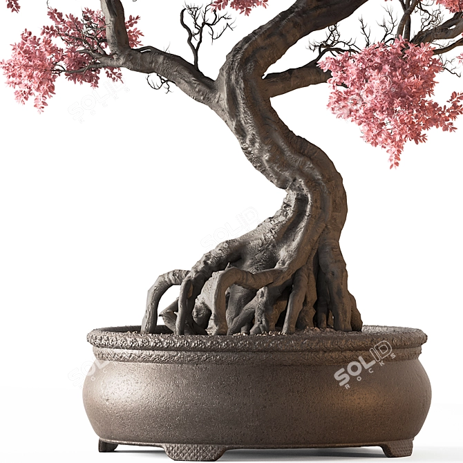 Bonsai Set Indoor Plant 3D model image 4