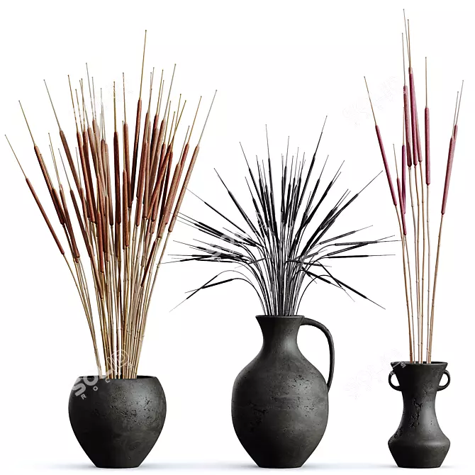 Pampas Branches Decor Set, 3D 3D model image 1
