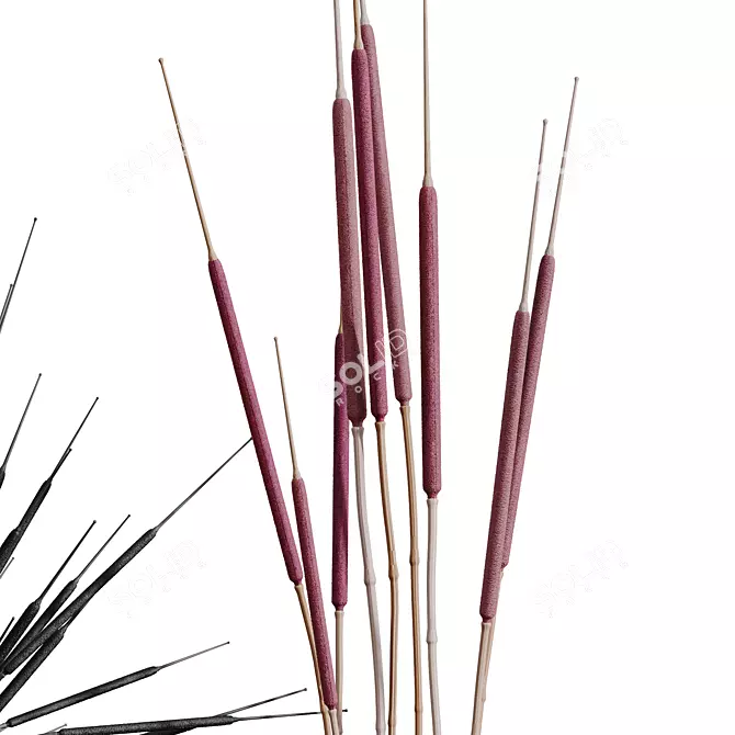 Pampas Branches Decor Set, 3D 3D model image 4