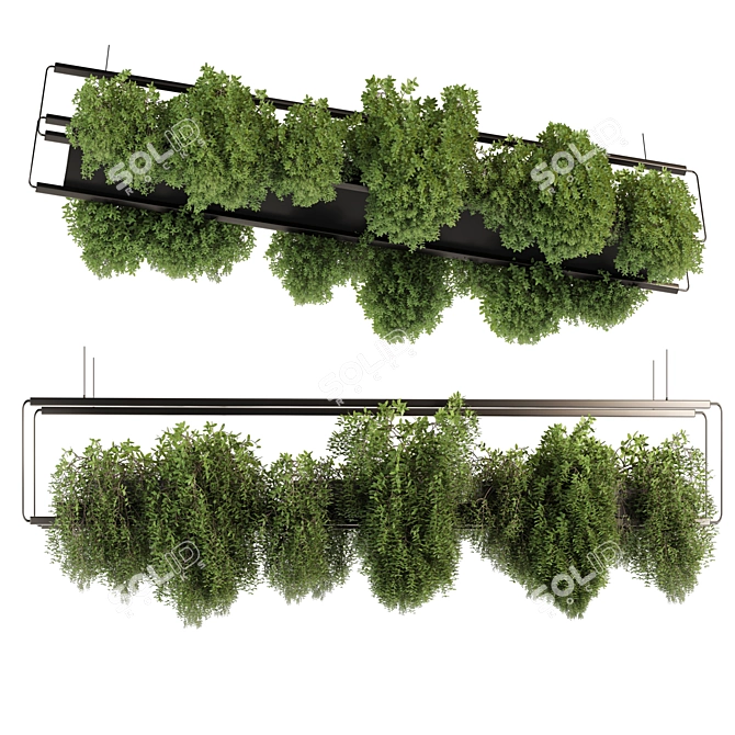 High-Quality Hanging Indoor Plants 3D model image 1