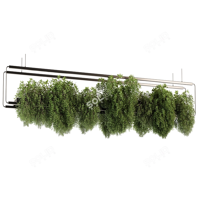 High-Quality Hanging Indoor Plants 3D model image 2