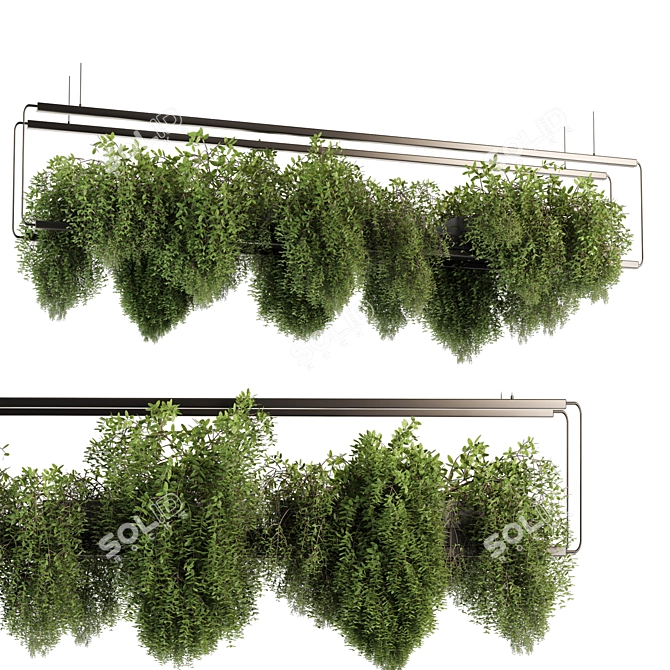 High-Quality Hanging Indoor Plants 3D model image 3