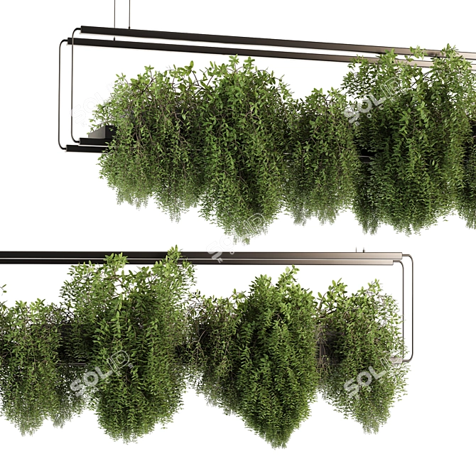 High-Quality Hanging Indoor Plants 3D model image 4