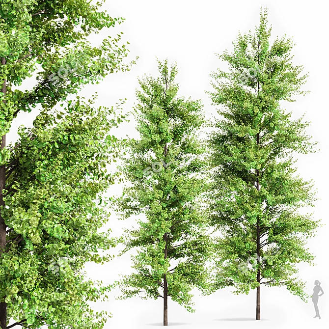 Majestic Spring Tree Collection 3D model image 3