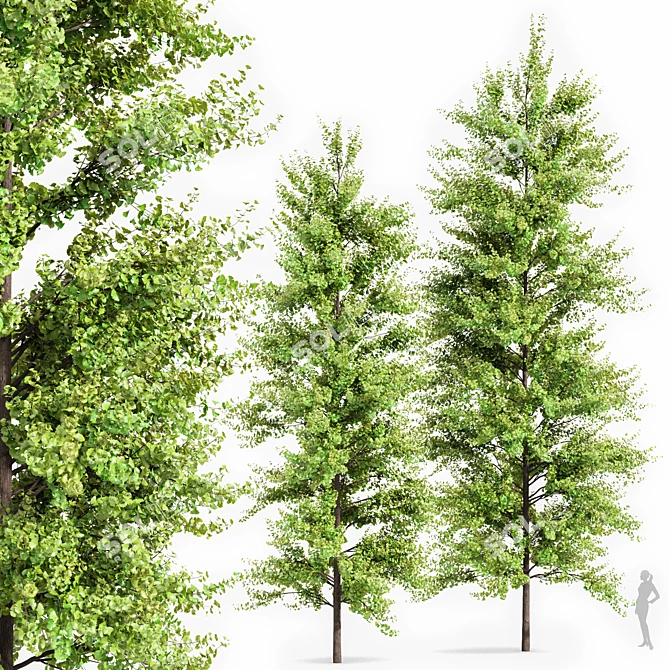 Spring Trees 3D Models Bundle 3D model image 3