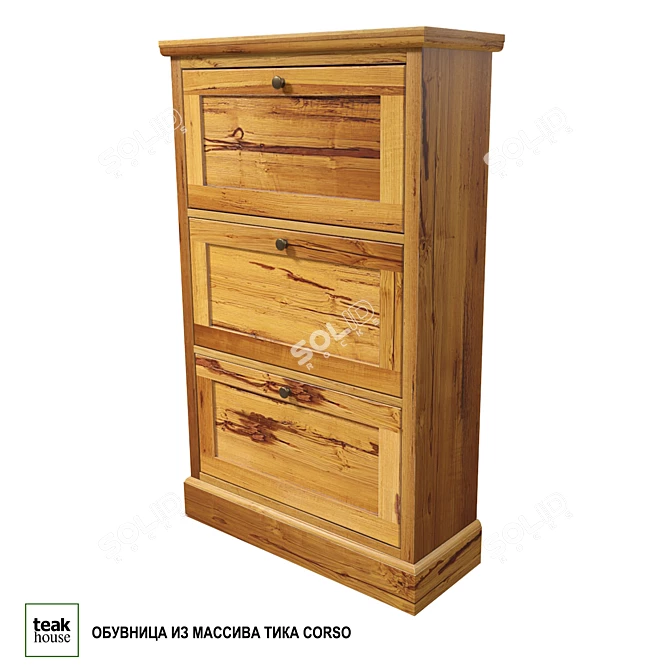 Teak Corso Shoe Cabinet 3D model image 1