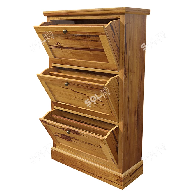 Teak Corso Shoe Cabinet 3D model image 3