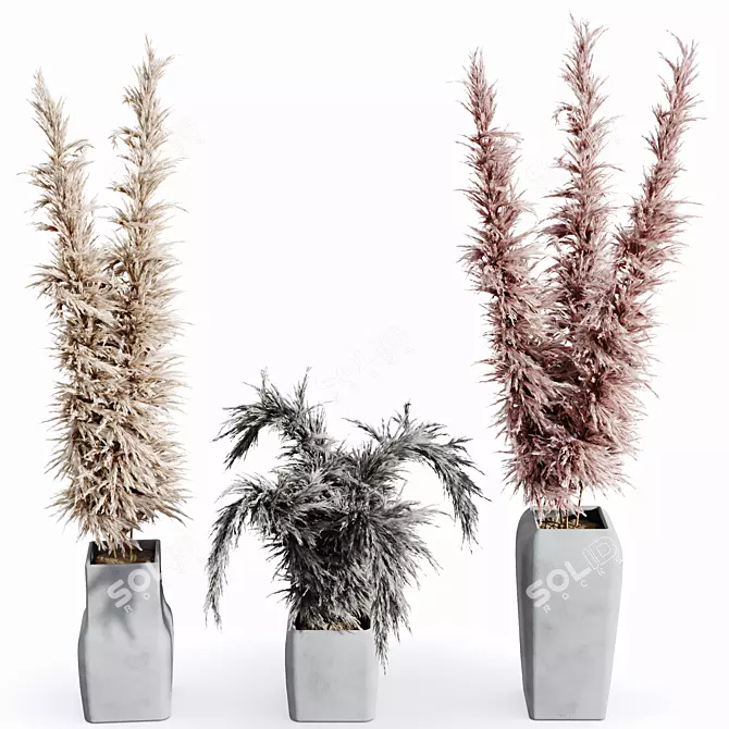 Boho Chic Pampas Grass Decor 3D model image 1