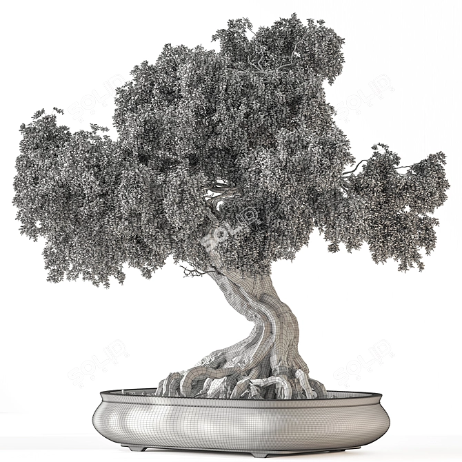 Zen Bonsai Plant Set 3D model image 4