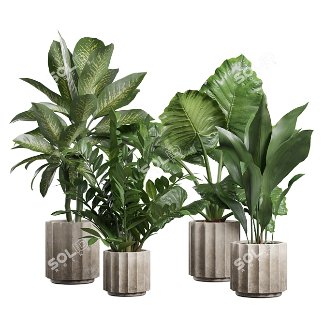 Exotic Indoor Plants Collection 74 3D model image 1