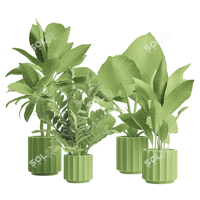 Exotic Indoor Plants Collection 74 3D model image 3