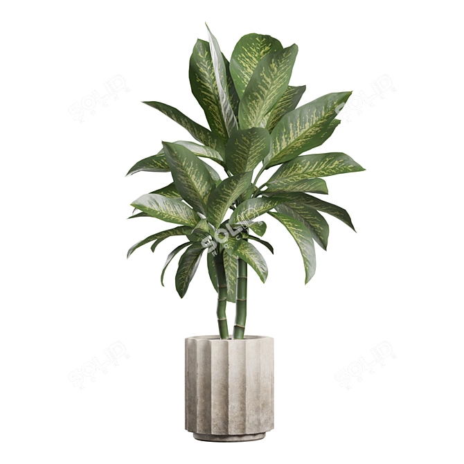 Exotic Indoor Plants Collection 74 3D model image 4