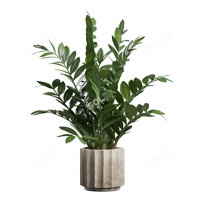 Exotic Indoor Plants Collection 74 3D model image 6