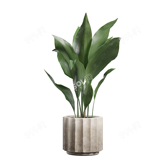 Exotic Indoor Plants Collection 74 3D model image 7