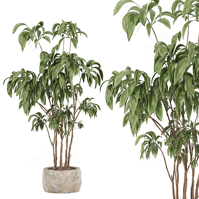 Modern Indoor Plant Set 059 3D model image 2