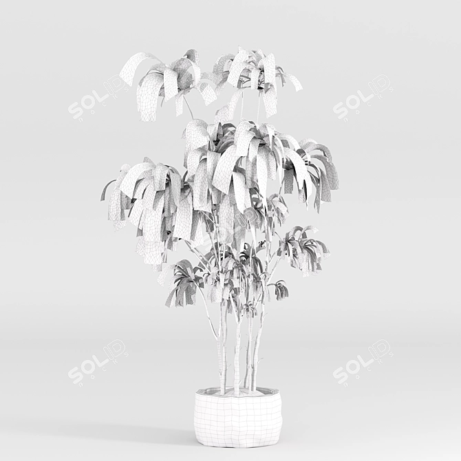 Modern Indoor Plant Set 059 3D model image 5