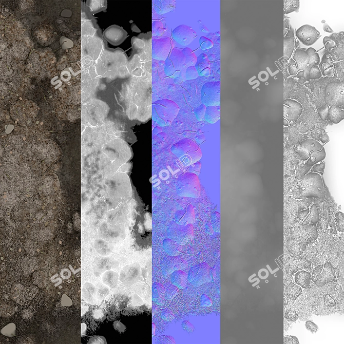 Stone Earth with Puddles Texture 3D model image 3