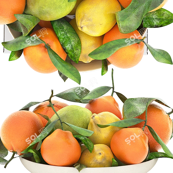 Citrus Fruits Bowl 3D Model 3D model image 3