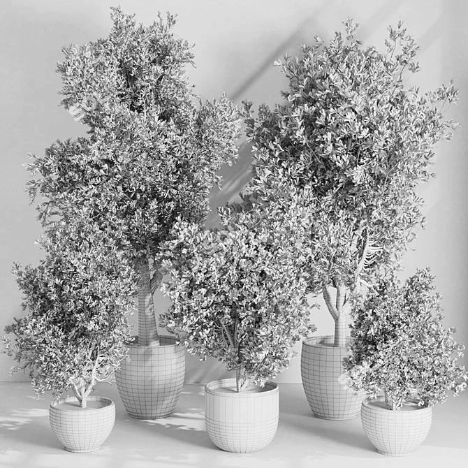 Concrete Tree Set Indoor Plant 3D model image 7