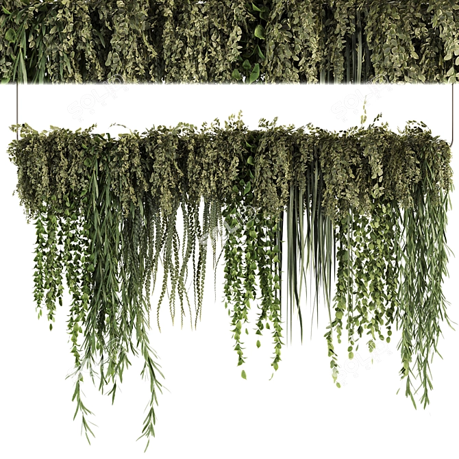 Set50 Hanging Indoor Plant Models 3D model image 1