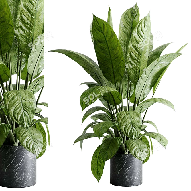 Marble Vase Dieffenbachia Maculata Set 3D model image 1