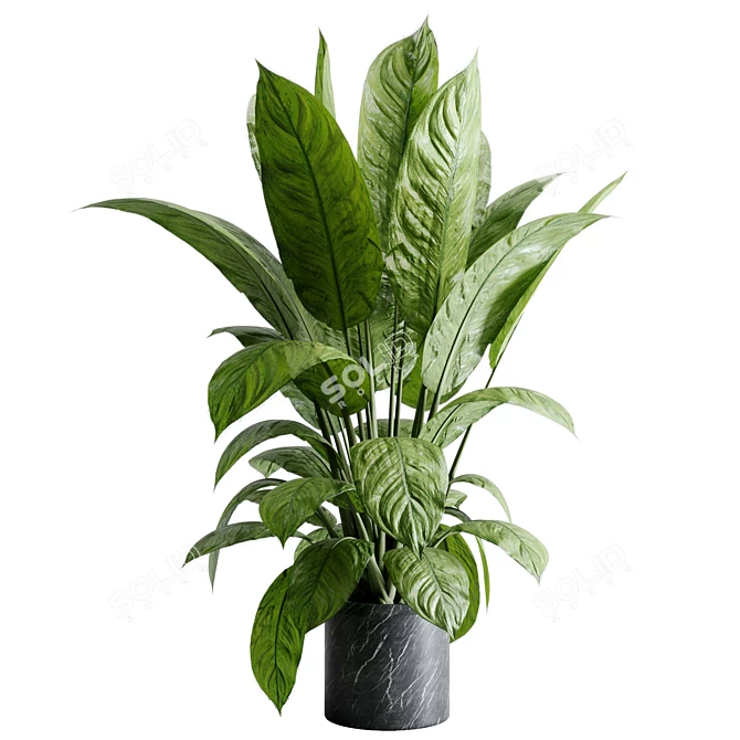 Marble Vase Dieffenbachia Maculata Set 3D model image 2