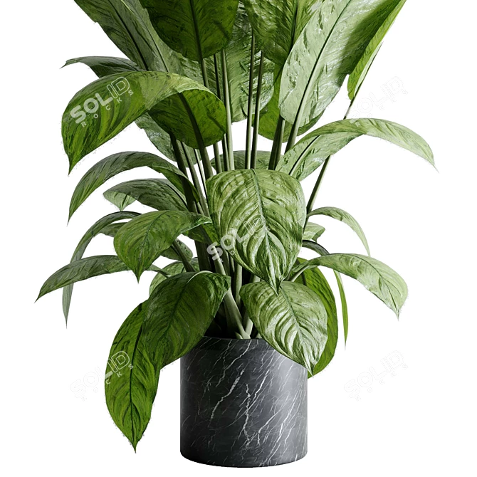 Marble Vase Dieffenbachia Maculata Set 3D model image 4