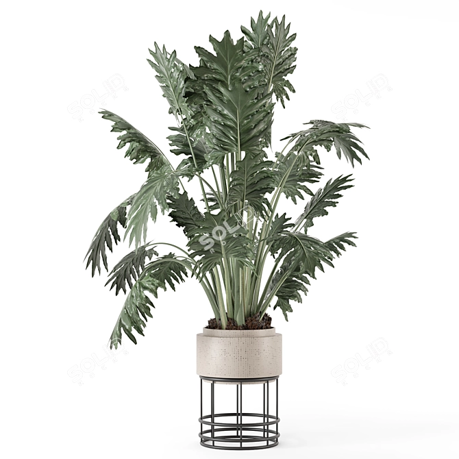 Natural Indoor Plant Set - 2015 3D model image 1