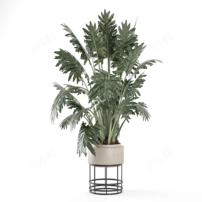 Natural Indoor Plant Set - 2015 3D model image 2