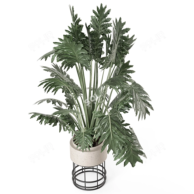 Natural Indoor Plant Set - 2015 3D model image 3