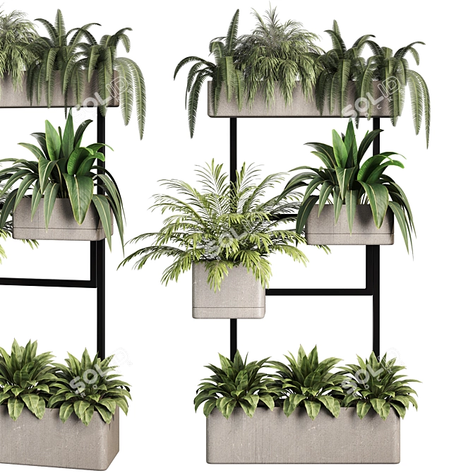 Premium Indoor Plants Set Renders 3D model image 1