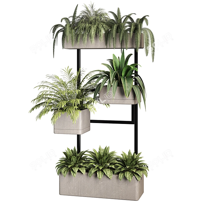 Premium Indoor Plants Set Renders 3D model image 2