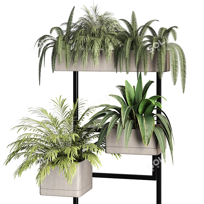 Premium Indoor Plants Set Renders 3D model image 3
